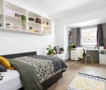 Extra Large Standard Double Studio - Photo 5