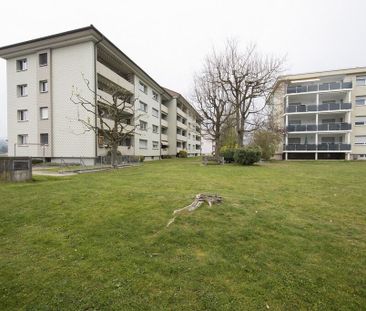 Schöne 1.0-Zimmer-Wohnung! - Foto 5