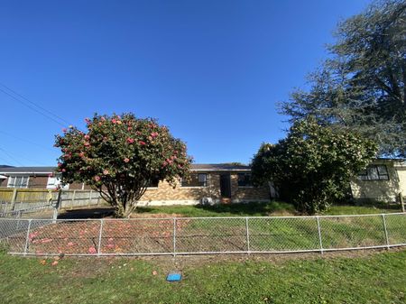 Great two bedrooms family home with large back yard! - Photo 3