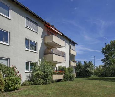 renovierte Erdgeschoss-Wohnung mit neuem Tageslichtbad frei! - Photo 1