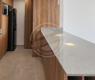 Departamento tipo Loft en renta zona La Calma, Zapopan. - Photo 5
