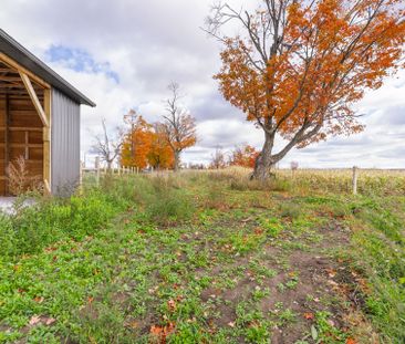 For Lease - 94 Hillhead Road, Kawartha Lakes, Ontario - Photo 2