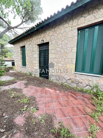 Μονοκατοικία για ενοικίαση Κέντρο (Άγιος Στέφανος) - Photo 4