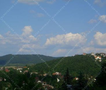 House for rent long term #101483 - Fotó 6