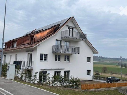 Moderne 4.5-Zimmer-Neubau-Wohnung in Sünikon, 114m2 - Foto 1