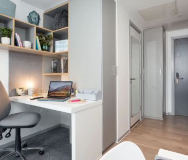 Standard Plus Studio - Photo 5