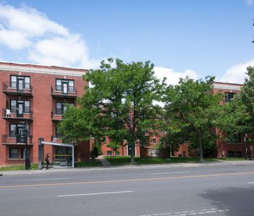 4745 Queen Mary Road - Photo 5