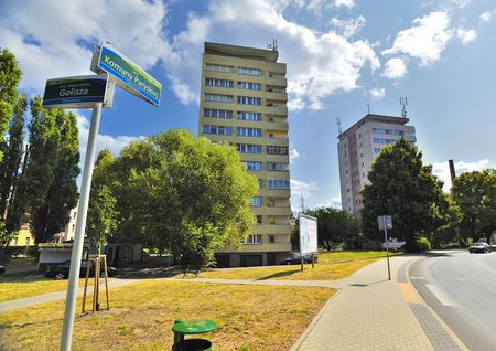 Do wynajęcia mieszkanie na os. Drzetowo - Zdjęcie 5