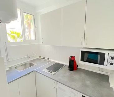 Plaza Gelo, Sevilla, Andalusia 41009 - Photo 4