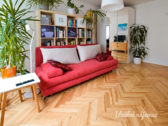 Pronájem bytu 1+1 25 m² - Photo 1