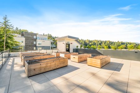 Modern 1 Bed Apartment With Parking & Storage – Built 2025 - Photo 4