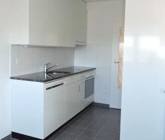 Singles aufgepasst! Charmante 1-Zimmerwohnung in Therwil - Photo 3