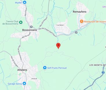 ATTALENS - 4.5 rooms in duplex with fireplace - Foto 2