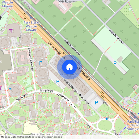ul. Chorzowska, Osiedle Tysiąclecia, Katowice, śląskie
