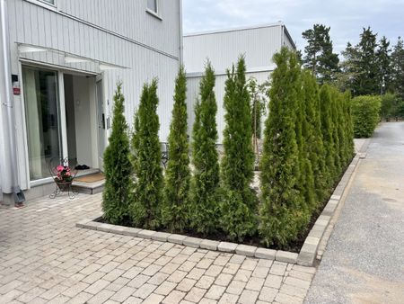 Värmdö - 4rok - 15mån - 31.050kr/mån - Photo 4