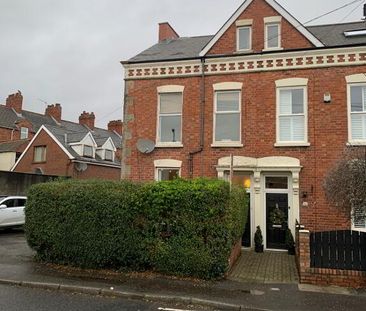 53 Sunnyside Street, Belfast, BT7 3EX - Photo 4