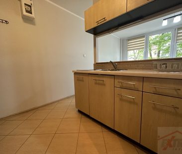 Goleniów centrum kawalerka na wynajem (437959) - Photo 6