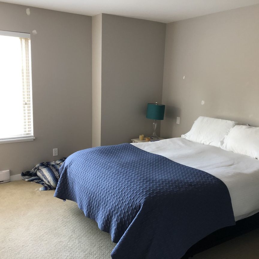 The Heights in Morgan Crossing - 3 Bedroom/3 Bathrooms - Photo 1