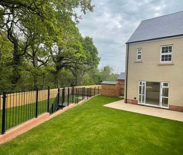 Maisy Mews, Seabrook Orchards, Exeter, EX2 - Photo 6
