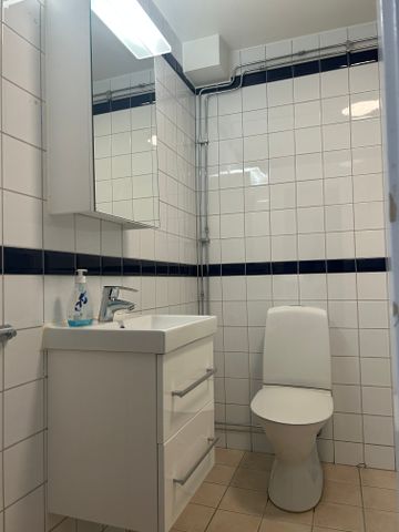 Tranemansgatan, Helsingborg - Photo 5