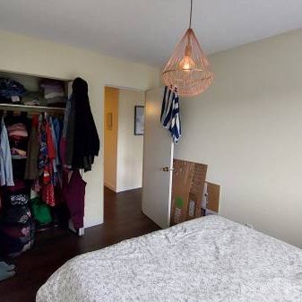 Kitsilano, , Balcony, Hardwood Floor, Quiet & Safe, Feb 1st ,2025. - Photo 3