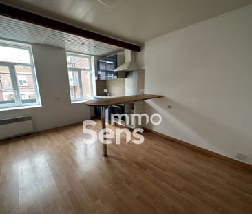 Location appartement - Lille SAINT MAURICE /PELLEVOISIN - Photo 3