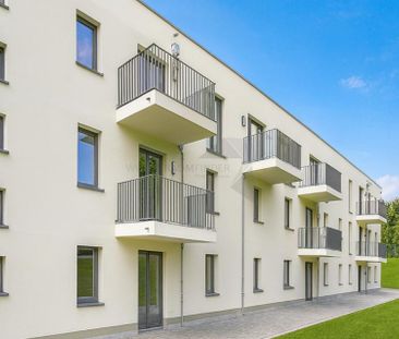 Ideal für Senioren - Barrierefreie 2-Raum-Wohnung am Pelzmühlenteic... - Photo 1