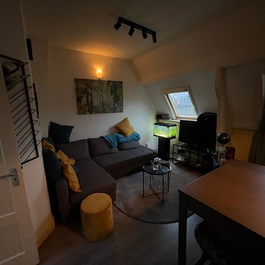 Te huur: 2-kamer appartement aan de Rijnlaan in Utrecht - Foto 1