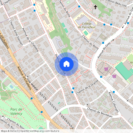 1004, Lausanne, Avenue de France, 98