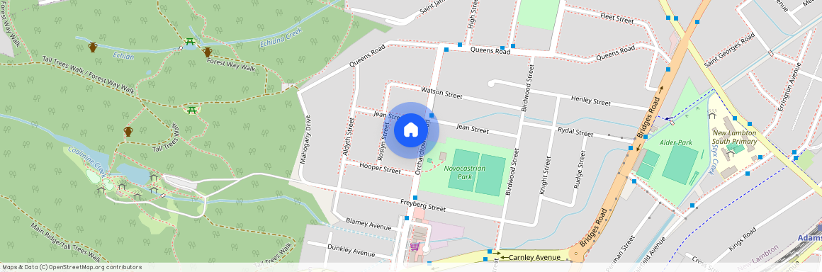 29 Orchardtown Road, New Lambton