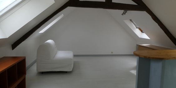 Location Appartement 1 pièce 23m² CHATEAUBRIANT 44110 - Photo 3