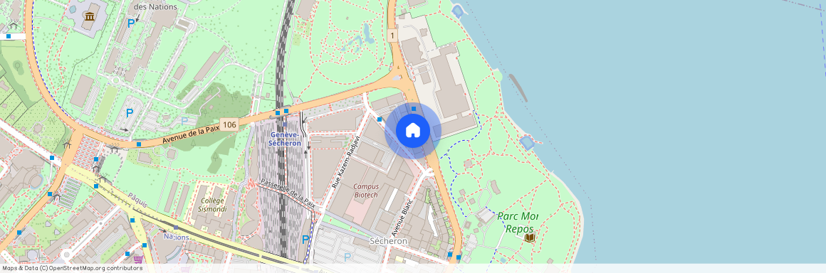 Rue de Lausanne 141, 1202 Genève