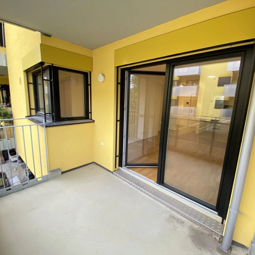 LEO 131 - Niedrigenergie-Wohnung in Hofruhelage! Anbindung nach Floridsdorf, Siemens und Grünflächen in der Nähe! - Foto 1