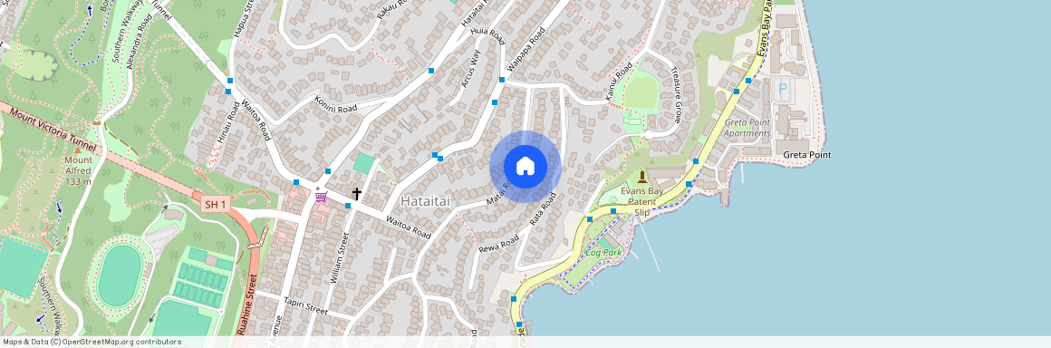 27A Matai Road, Wellington, Hataitai