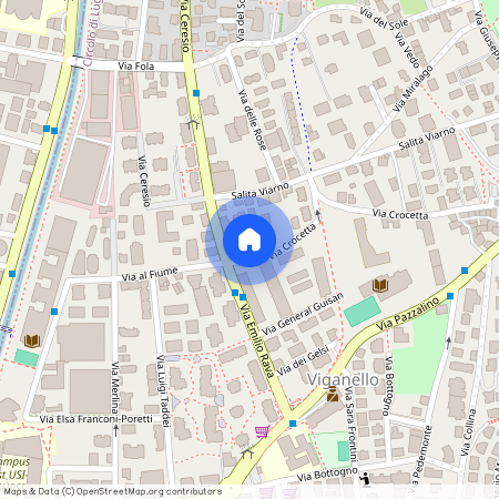 6962, Viganello, Via Crocetta, 3