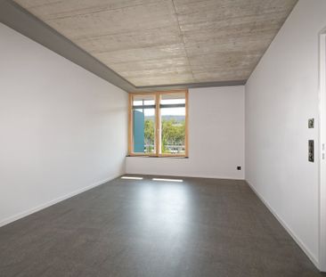 Rent a 2 rooms apartment in Schlieren - Foto 1