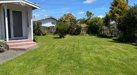 Freshly Renovated - Photo 4