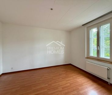 Temporary Accommodation in Biberist - Photo 6