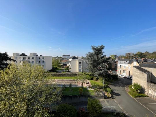 Location Appartement 1 pièce 28m² ANGERS 49000 - Photo 1