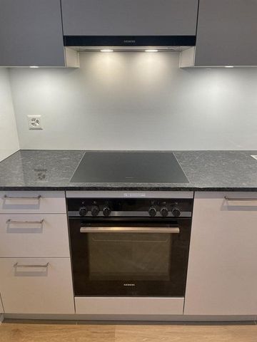 Frisch sanierte 1.5-Zimmer-Studios im Herzen von Zürich zu vermieten - Foto 2