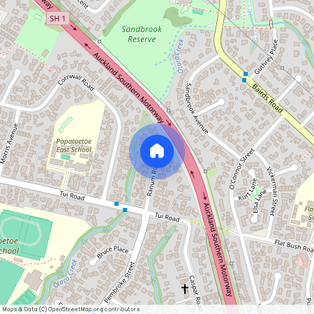 17 Ranum Road, Papatoetoe, Manukau City