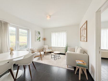 Mooi gemeubeld appartement top gelegen op een boogscheut van de wandeldijk - Foto 2