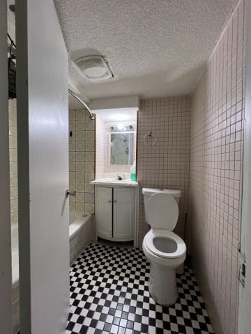 For Lease - 534 Lana Terrace Unit# Bsmt, Mississauga, Ontario - Photo 4