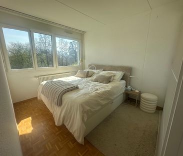 4 bright rooms in ONEX ( Rue des Bossons) - Photo 3