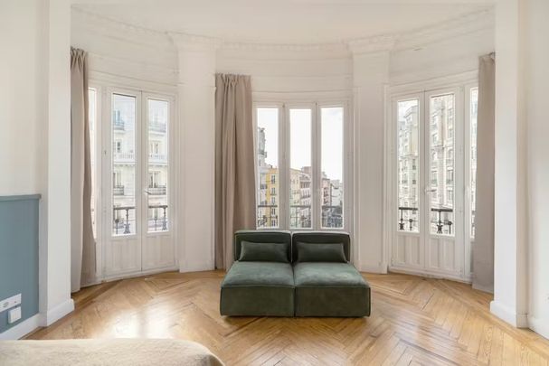 Gran Vía, Madrid, Community of Madrid 28013 - Photo 1