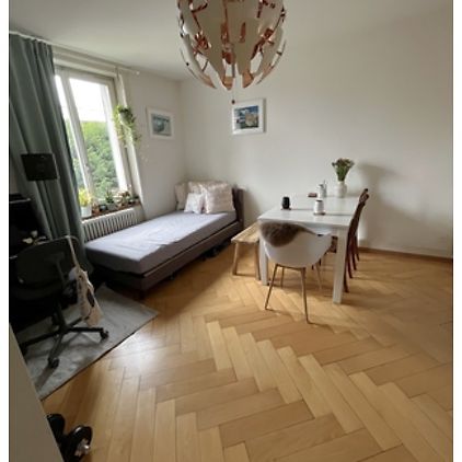 3½ Zimmer-Wohnung in Zürich - Kreis 10 Wipkingen, möbliert, auf Zeit - Photo 1