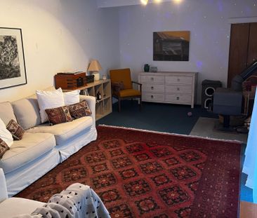 Howards Grass - Photo 2