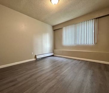 Large one bedroom apartment unit on E Pender street Near Commercial Dr - Photo 1