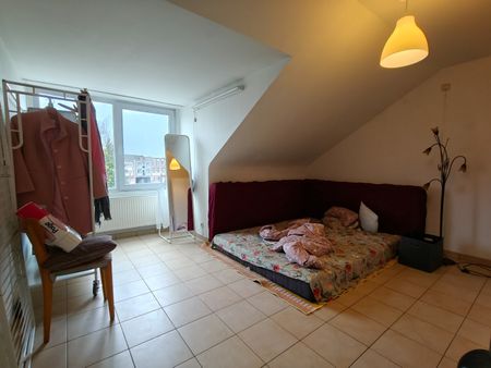 Dakappartement te huur in Lokeren - Photo 4