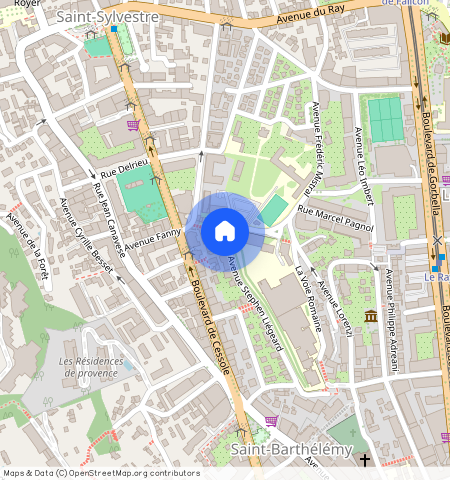 Nice Saint Sylvestre